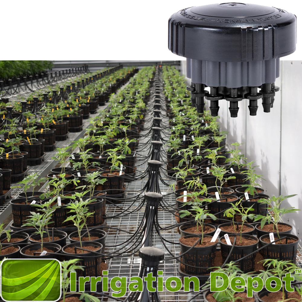 irrigation manifold