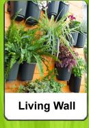 Living Wall